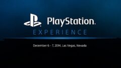 ps-experience