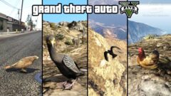 PS4/XB1『GTAV』犬、猫、豚、鳥など様々な動物となって世界を楽しめるイースターエッグが見つかる