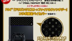 ddff_hddbaycover_150224