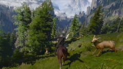 witcher3_150515