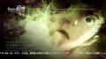 steins-gate-elite_180629