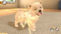 リトルフレンズ DOGS＆CATS 180925