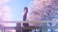 √Letter ルートレター Last Answer 181030