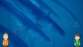 abzu 190531