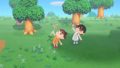 あつまれ どうぶつの森 190612