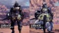 モンスターハンターワールドアイスボーン リオレイアMR装備 190707