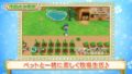 牧場物語 再会のミネラルタウン 190828