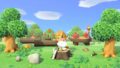 あつまれ どうぶつの森 20225
