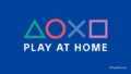 play at home 20415