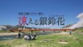 秋田・男鹿ミステリー案内 凍える銀鈴花 20703