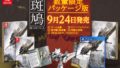 斑鳩 ikaruga PS4 Switch パッケージ 20805