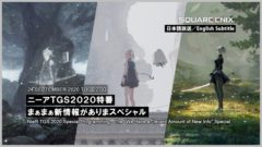 ニーア 20910