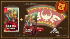 ゼルダ無双 災厄の黙示録 20911