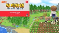 牧場物語 オリーブタウンと希望の大地 201028