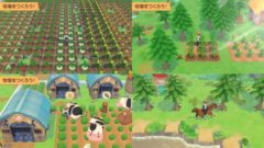 牧場物語 オリーブタウンと希望の大地 201113