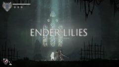 ender lilies 201214