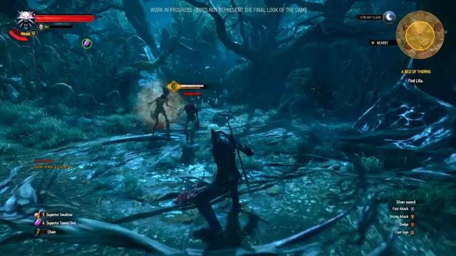 Witcher-3-dlc-3-chain_260831